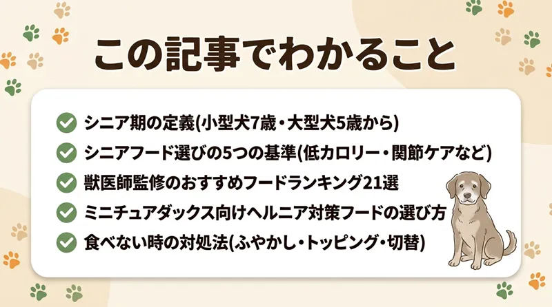 シニア用ドッグフードおすすめランキング21選【獣医師監修|2026年5月】老犬・高齢犬に合うご飯の選び方は?