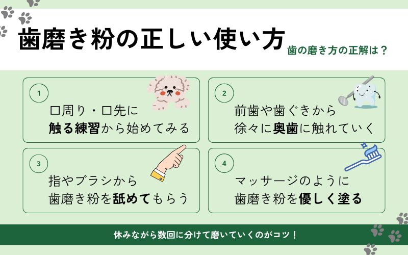 犬用歯磨き粉の使いかた