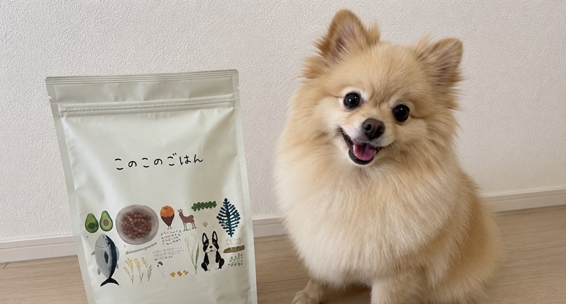 このこのごはん ミミ