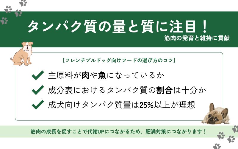 筋肉の発育に必要なタンパク質が配合されているか