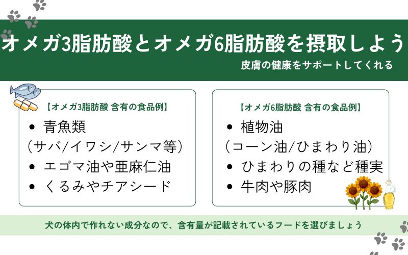 皮膚の健康を保つ必須脂肪酸が配合されているか