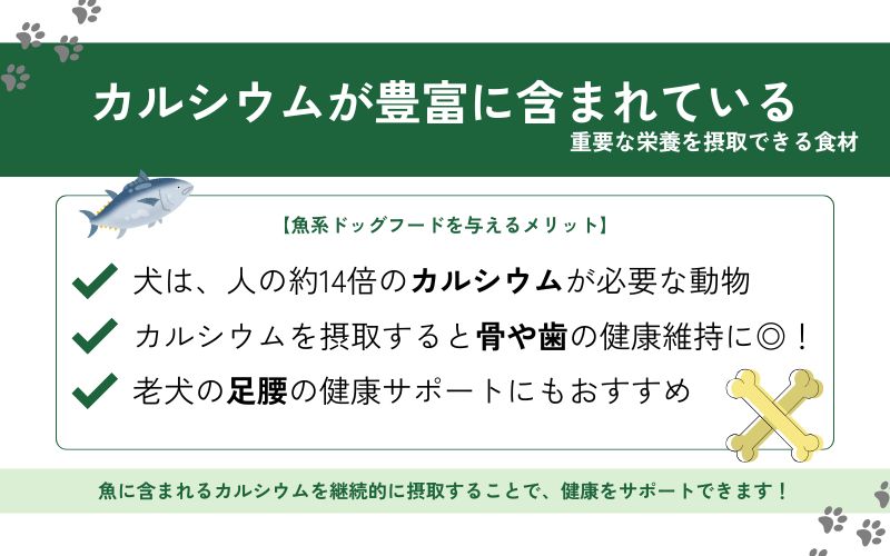 骨や歯の健康維持