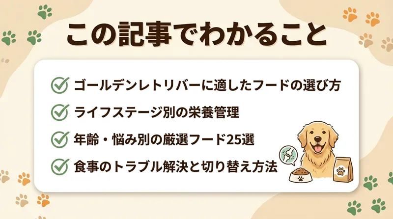 ゴールデンレトリバーに合うドッグフードおすすめ25選【獣医師監修】ステージやお悩み別の餌も紹介