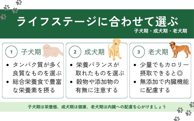 ステージ別に与えるドッグフードを変える