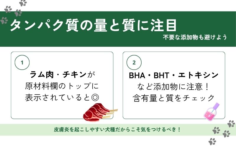 タンパク質の量と質