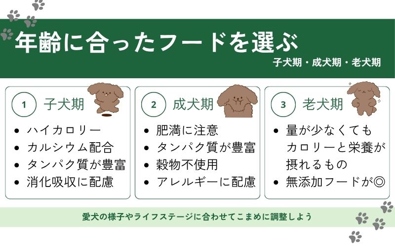 年齢に合ったドッグフードを選ぶ