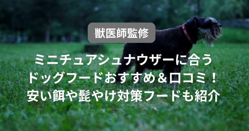 ミニチュアシュナウザーフード アイキャッチ