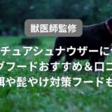 ミニチュアシュナウザーフード アイキャッチ