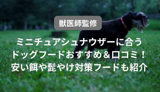 ミニチュアシュナウザーに合うドッグフードおすすめ27選&口コミ!【獣医師監修】安い餌や髭やけ対策フードも紹介