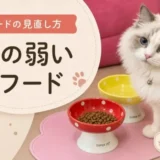 お腹の弱い猫のキャットフードの選び方｜下痢・軟便で受診すべきサインと市販フードの見直し方【獣医師監修】