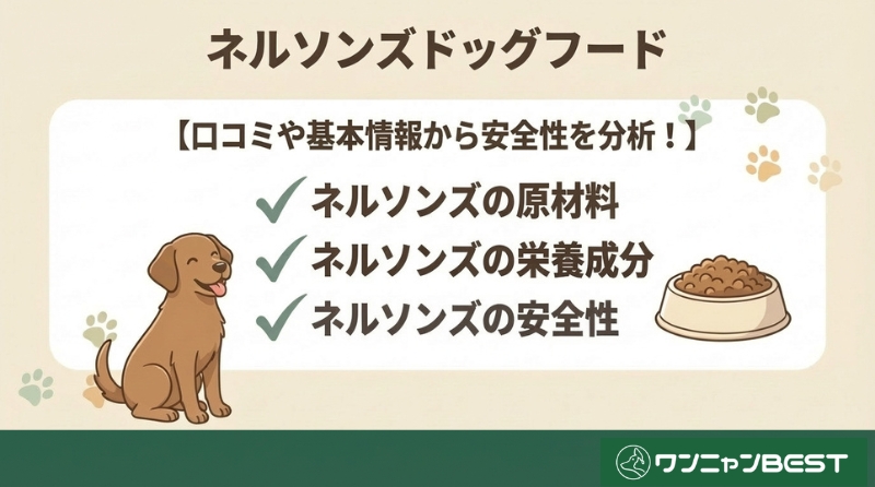 ネルソンズドッグフードの口コミ・基本情報から安全性を分析！