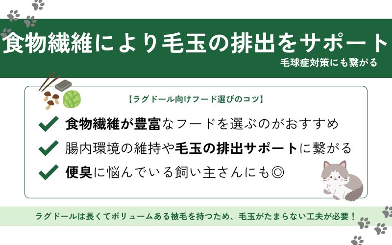 食物繊維が豊富に含まれているものを選ぶ