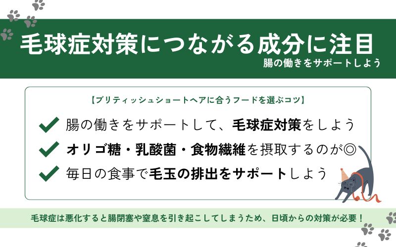 腸の働きをサポートする成分の有無で選ぶ