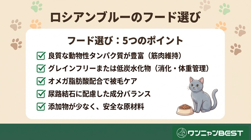 ロシアンブルー向けキャットフードを選ぶときのポイント