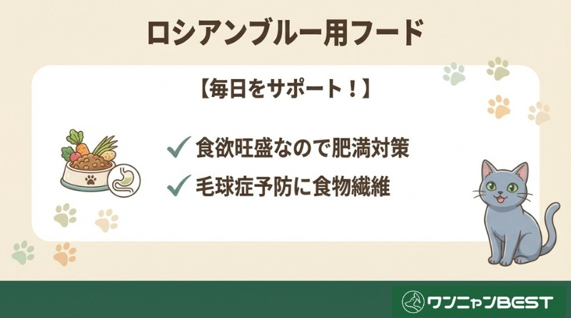 ロシアンブルー向けキャットフードで愛猫の健やかな毎日をサポートしよう！