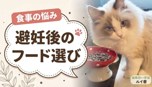 避妊・去勢後の猫のご飯｜フード12選・1日何g・いつまで与えるか