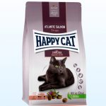 HAPPY CAT ステアライズド