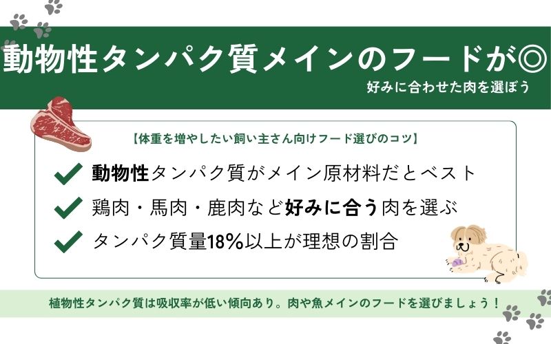 動物性タンパク質が主原料のフードを選ぶ