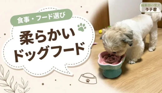 柔らかいドッグフードおすすめ8選｜老犬・歯が弱い犬向けにウェット・半生をタイプ別で比較