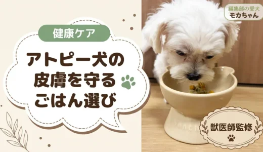 犬のアトピー向けドッグフードの選び方【獣医師監修】鶏肉・牛肉を避けたい犬の14選と原材料チェック表