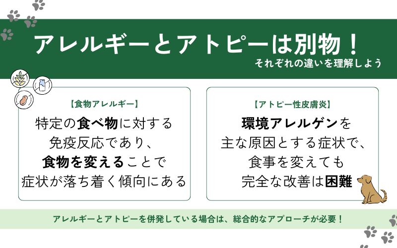 食物アレルギーとアトピー性皮膚炎の違い