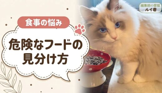 買わない方がいいキャットフードとは？パッケージ裏で分かる見分け方