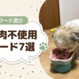 チキンアレルギーの犬に。鶏肉不使用ドッグフード7選と原材料表示の落とし穴`