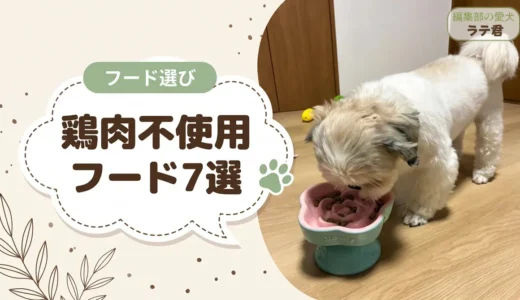 チキンアレルギーの犬に。鶏肉不使用ドッグフード7選と原材料表示の落とし穴`