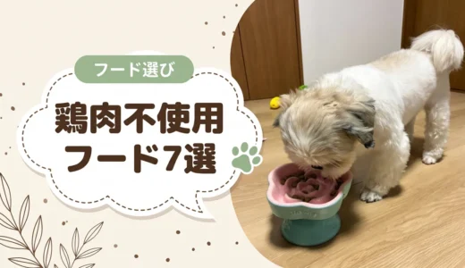 チキンアレルギーの犬に。鶏肉不使用ドッグフード7選と原材料表示の落とし穴`