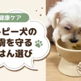 犬のアトピー向けドッグフードの選び方【獣医師監修】鶏肉・牛肉を避けたい犬の14選と原材料チェック表