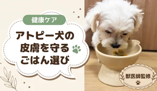 犬のアトピー向けドッグフードの選び方【獣医師監修】鶏肉・牛肉を避けたい犬の14選と原材料チェック表