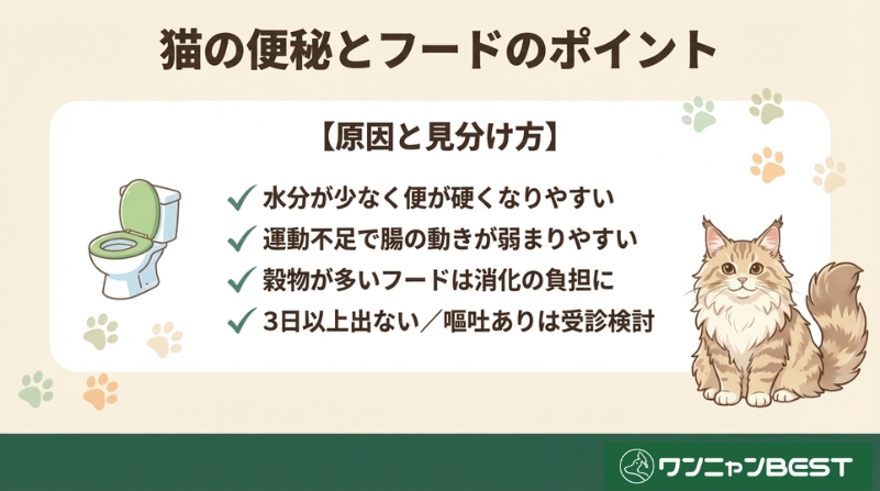 猫の便秘とフードの関係性について知っておくべきこと