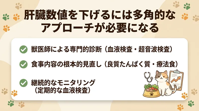 肝臓数値を下げるには多角的なアプローチが必要になる