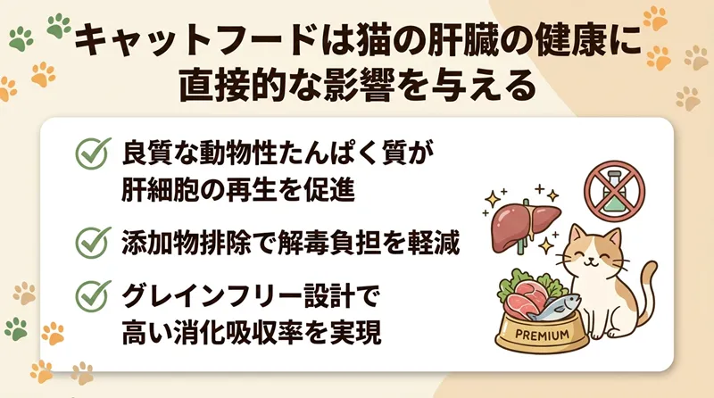 キャットフードは猫の肝臓の健康に直接的な影響を与える