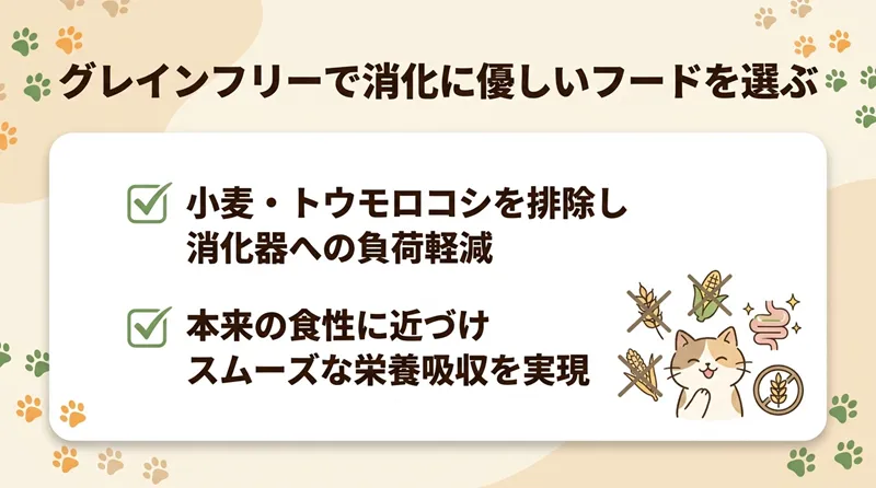 グレインフリーで消化に優しいフードを選ぶ