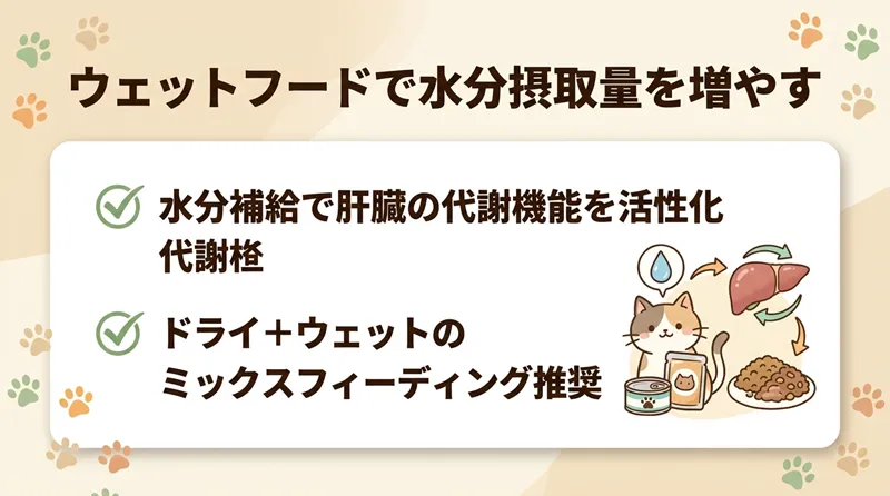 ウェットフードで水分摂取量を増やす
