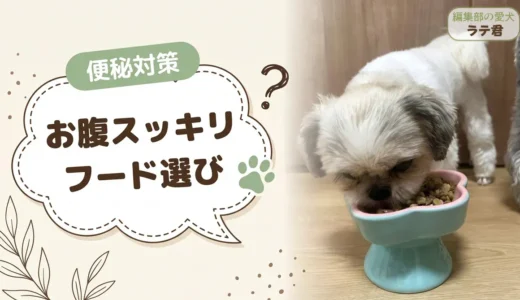 【犬のうんちが硬い】便秘対策ドッグフードの選び方とおすすめ11選｜受診の目安も解説