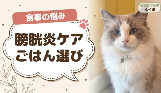 猫の膀胱炎とキャットフード｜市販8商品の半分はミネラル値が非公表