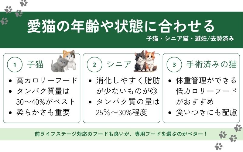 愛猫のライフステージに合わせてフードを選ぶ