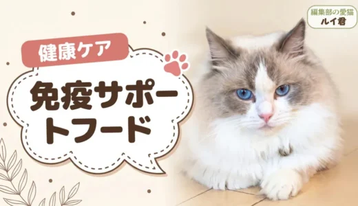 猫の免疫力を高める市販フードの選び方｜乳酸菌・オリゴ糖配合のおすすめ8選