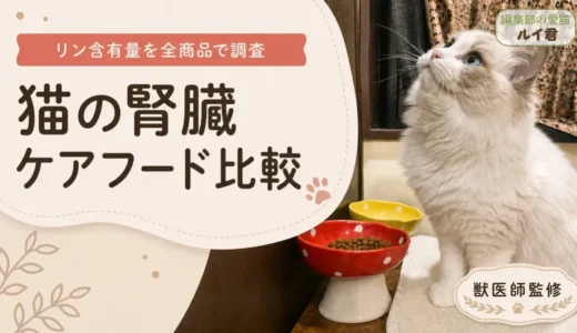 猫の腎臓ケアフード比較｜リン含有量を全商品で調べた結果【獣医師監修】