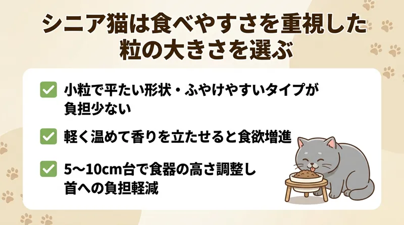 シニア猫は食べやすさを重視した粒の大きさを選ぶ
