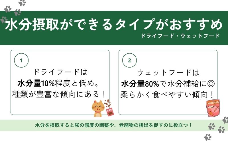 水分補給ができるウェットフードを取り入れる