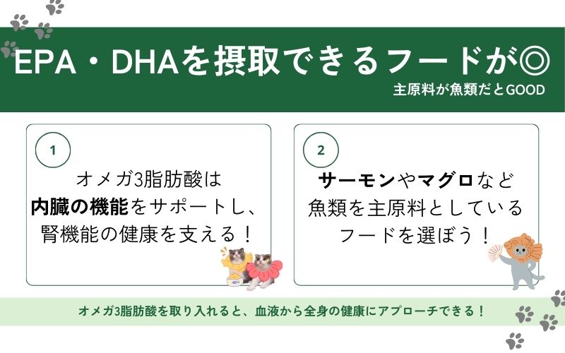 オメガ3脂肪酸を含むフードを選ぶ