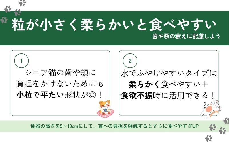 シニア猫は食べやすさを重視した粒の大きさを選ぶ