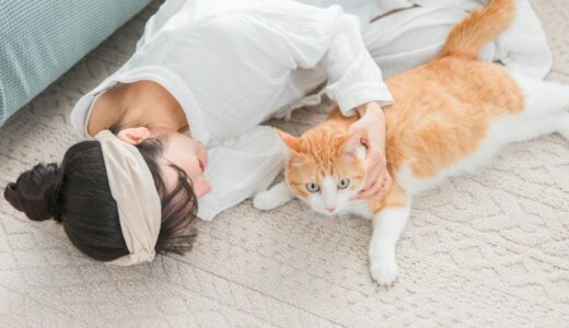 猫の肝臓数値を下げるのに役立つキャットフード選び方！おすすめ商品も紹介