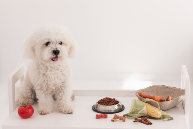 dogfood