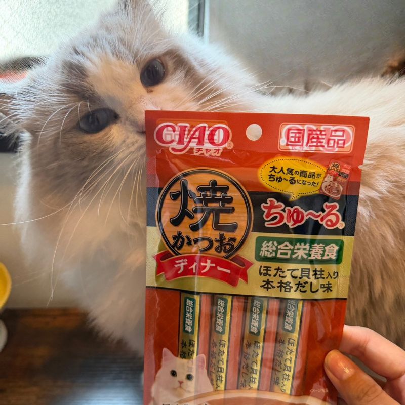 ちゅーる　ルイ