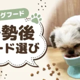 去勢・避妊後の犬におすすめのドッグフード8選｜切り替え時期と「いつまで続けるか」も解説