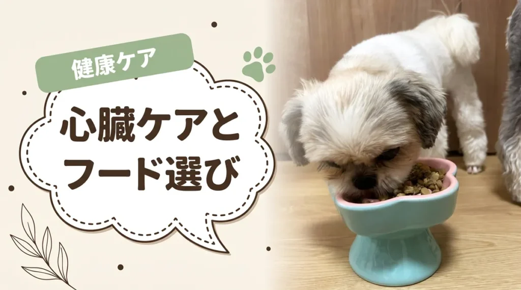 犬の心臓病とドッグフード｜療法食と市販フードの違い・選び方とおすすめ